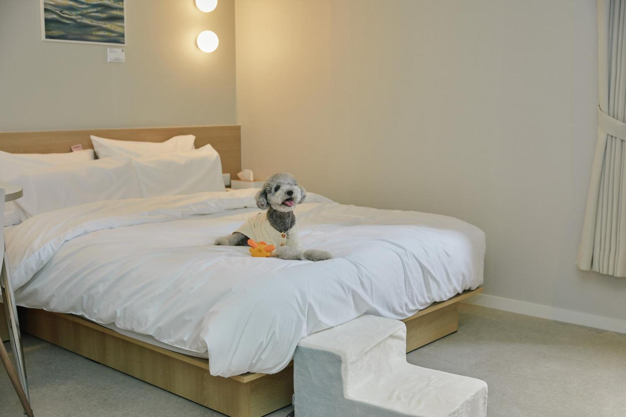 Aank Hotel Incheon Songdo Exteriér fotografie
